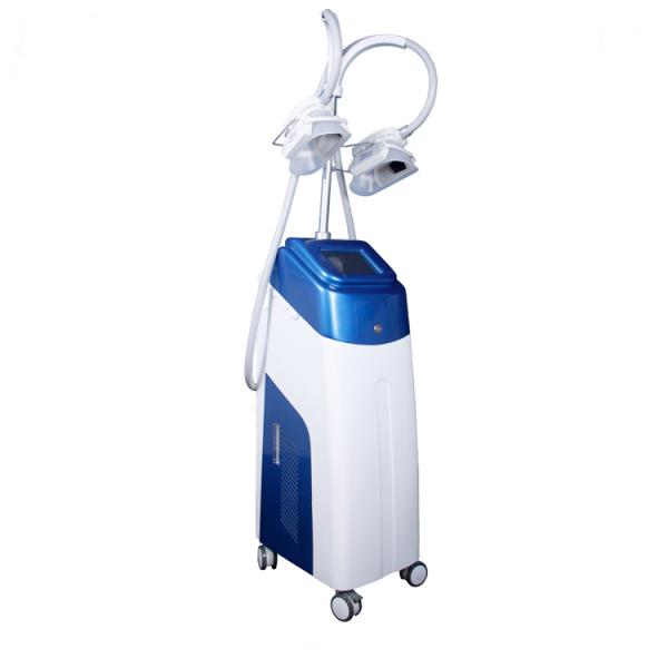 Double Cryo Handles Fat Freezing Criolipolysis Machine